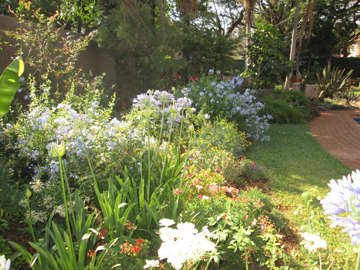 12 Fleetwood Bed & Breakfast Harare Exterior photo
